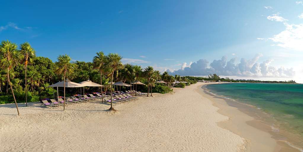 Royal Service At Paradisus La Perla (Adults Only) Плайя-дель-Кармен Природа фото